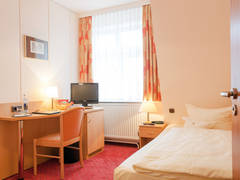 Zimmerbild 11