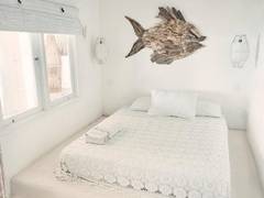 Zimmerbild 3