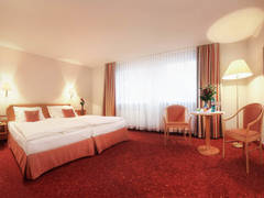 Zimmerbild 6