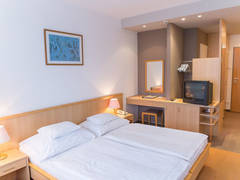 Zimmerbild 23