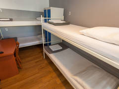 Zimmerbild 3