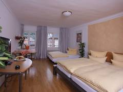 Zimmerbild 6