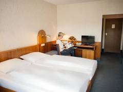 Zimmerbild 1