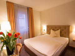 Zimmerbild 6
