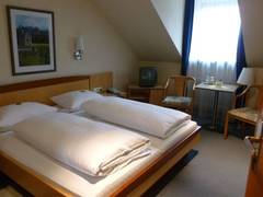 Zimmerbild 3