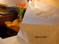 Zimmerbild 6