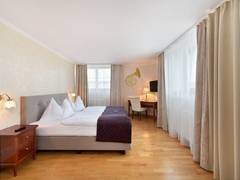 Zimmerbild 6