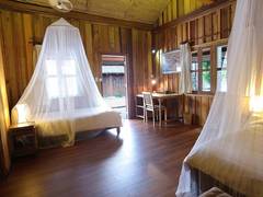 Zimmerbild 11