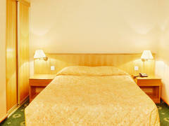 Zimmerbild 20