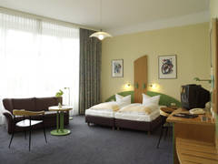 Zimmerbild 6