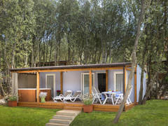 Zimmerbild 37