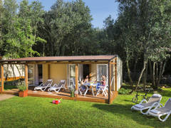 Zimmerbild 26
