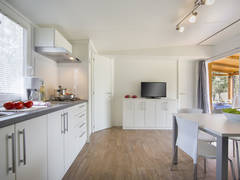 Zimmerbild 44