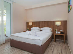 Zimmerbild 8