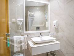 Zimmerbild 46