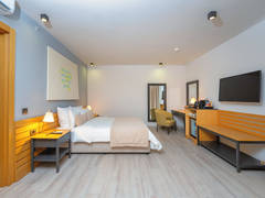 Zimmerbild 34