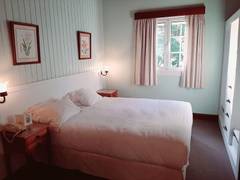 Zimmerbild 50