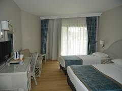 Zimmerbild 11