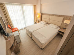Zimmerbild 22