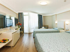 Zimmerbild 30