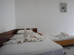 Zimmerbild 16