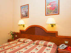 Zimmerbild 39