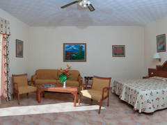 Zimmerbild 27