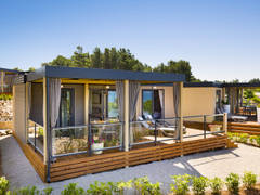 Zimmerbild 26