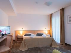 Zimmerbild 11