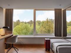 Zimmerbild 11