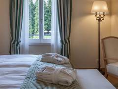 Zimmerbild 8