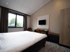 Zimmerbild 11