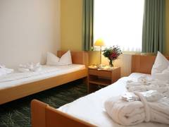 Zimmerbild 11