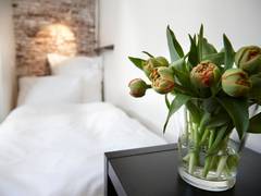 Zimmerbild 22