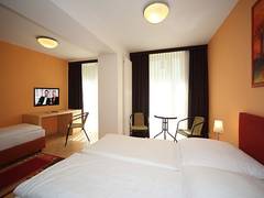 Zimmerbild 5