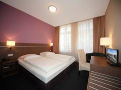 Zimmerbild 8