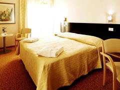 Zimmerbild 6