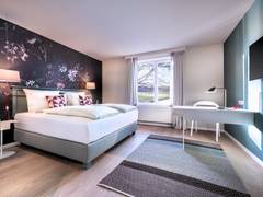 Zimmerbild 42