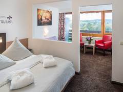 Zimmerbild 7