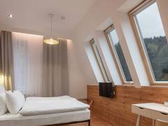 Zimmerbild 17