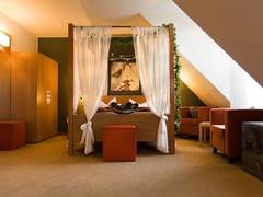 Zimmerbild 6