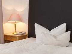 Zimmerbild 17