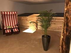 Zimmerbild 22
