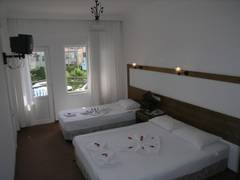 Zimmerbild 11