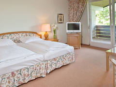 Zimmerbild 6