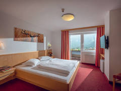 Zimmerbild 21