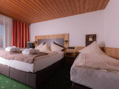 Zimmerbild 6
