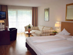 Zimmerbild 23