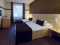 Zimmerbild 10