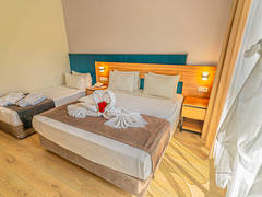 Zimmerbild 13